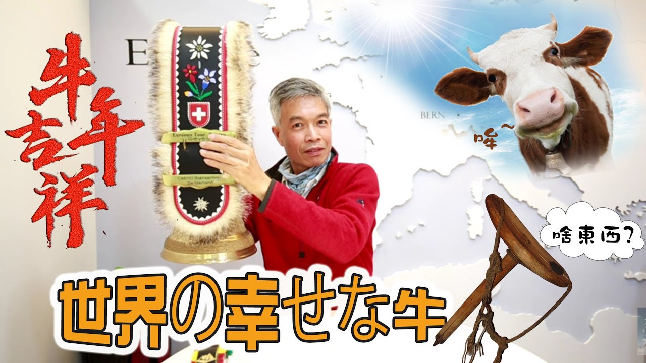 你有聽過牛角公投嗎?！是陀螺還是椅子?